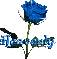 blue rose heavenly
