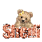 Bear: Shelli