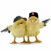 chicks with guns
