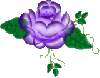 Lil Purple Flower