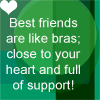 friends like bras