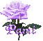 purple rose pami