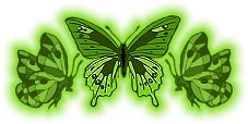 Green Butterflies