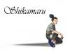 my name is Shikamaru
