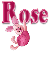 piglet rose