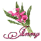 Pink Flower: Jammy