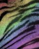 Rainbow Tiger Pattern