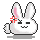 bunny angry!