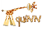 giraffe quinn