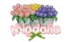 tulips with name Migdalia