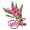 Pink Lily: Ann