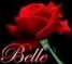 BELLE WITH RED ROSE
