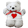 Teddy Bear cute
