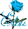 baby blue rose elvis