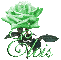 green rose elvis