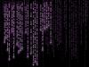 Matrix Code (purple)