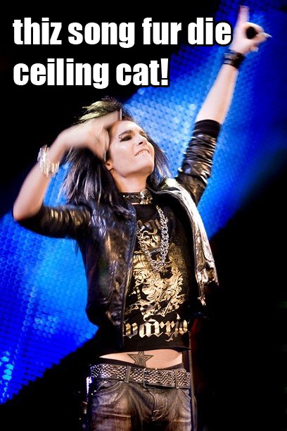 bill and cats