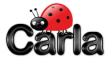 Carla ladybug