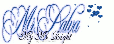 mr. salva my mr. right