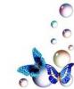 Butterfly with bubbles
