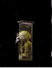 Fetus in a jar