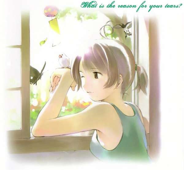 Someday's Dreamer