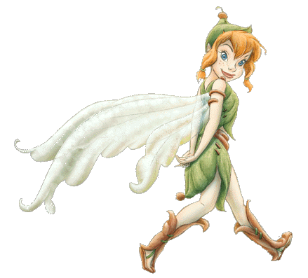 DISNEY FAIRY