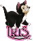 Cute Kitten - Iris