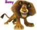 Alex the lion with Sonny name