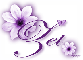 Purple Flower - Zet