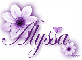 Purple Flower - Alyssa