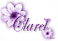 Purple Flower - Claret