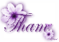 Purple Flower - Tham