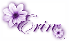 Purple Flower - Erin
