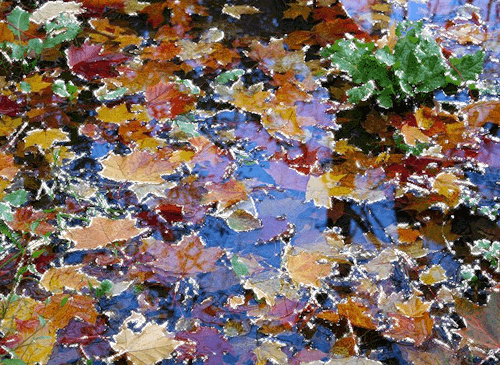 Autumn.