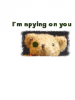 Spying teddy bear