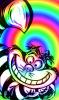 Cheshire Cat Rainbow
