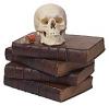 skull books1