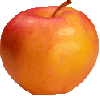 juicy apple