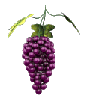 spinning grapes
