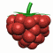 raspberry spinner