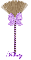 Purple Broom - Felicity