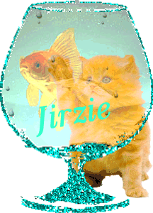 Cat and Fish Bowl - Jirzie