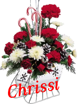 Christmas Flower Sleigh - Chrissi