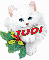 Christmas Cat - Judi