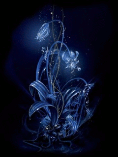 night flower