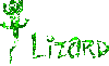 green lizard with text