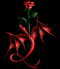 Color Changing Dragon & Rose