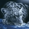 snow leopard avatar