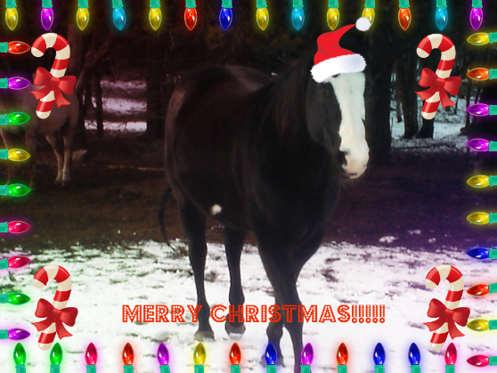 Merry Christmas!!!!